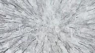 冬季在林地的雪覆盖树上飞行的<strong>高空</strong>顶降无人机. 4的<strong>高空</strong>飞碟